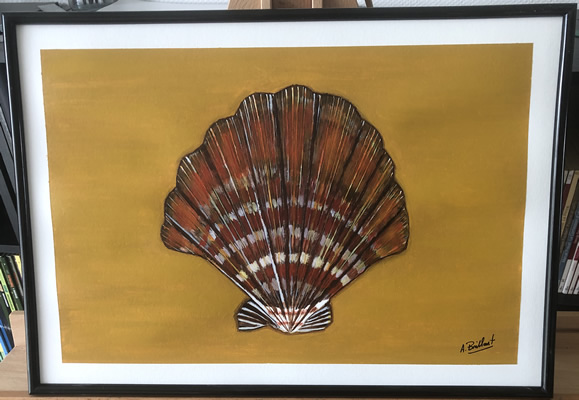 (c) Alexandre Brillant - peinture acrylique - coquille saint-jacques